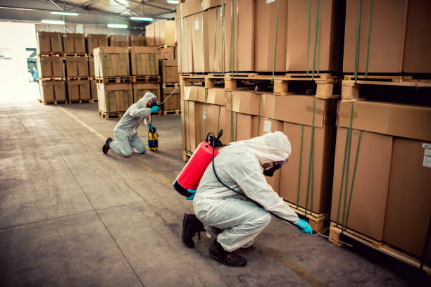 Reliable Natalia, TX Pest Control Solutions