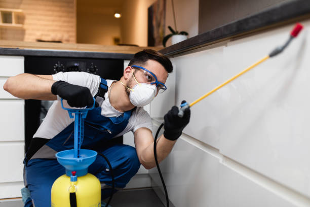 Best Emergency Pest Control  in Natalia, TX