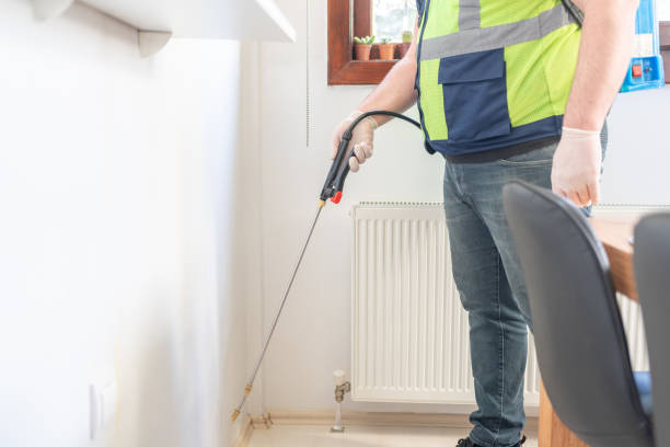 Flea Control Services in Natalia, TX