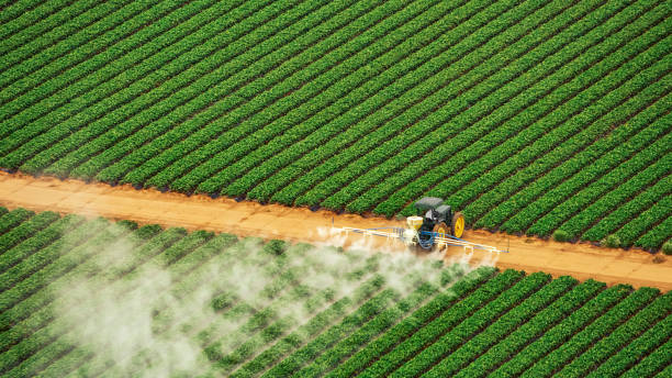 Best Pest Inspection Near Me  in Natalia, TX