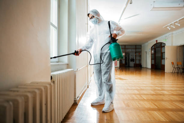 Best Best Pest Control Companies  in Natalia, TX
