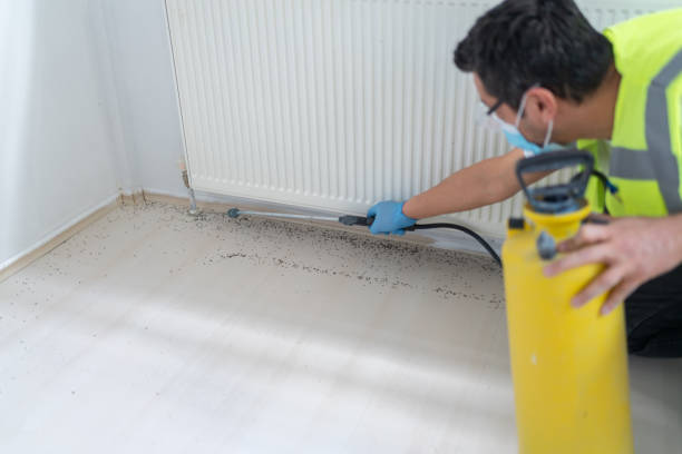 Best Mosquito Control Services  in Natalia, TX