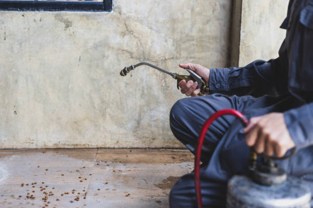 Best Pest Prevention Services  in Natalia, TX